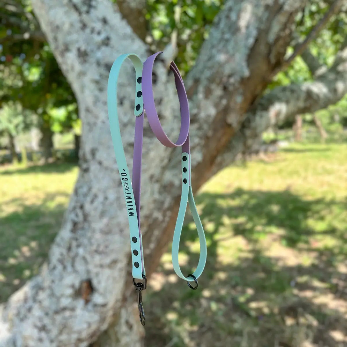 Biothane 1.2m Walking Leash with Built in Traffic handle- Marvellous Mauve & Sage Whinny and Co