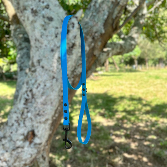 Biothane 1.5m Walking Leash - Lagune