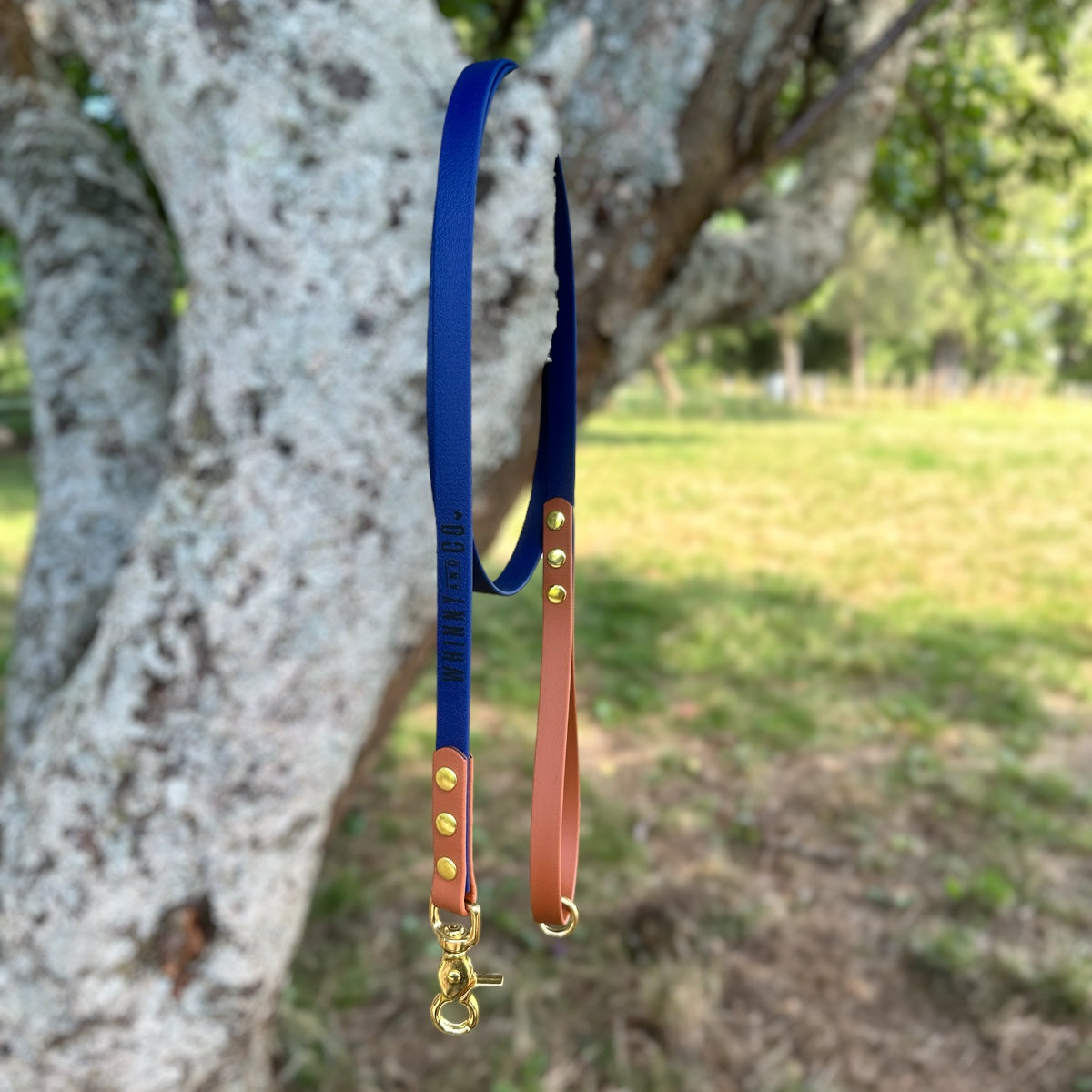 Biothane 1.5m Walking Leash - Navy & Light Brown