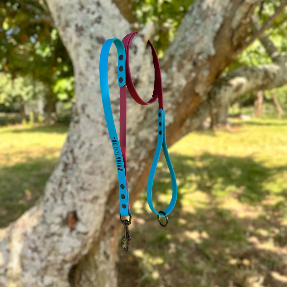 Biothane 1.2m Walking Leash with Built in Traffic handle- Lagune & Wine Whinny and Co
