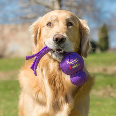 KONG Wubba Mega — Big-Play Tug, Toss & Squeak Toy for Dogs Kong