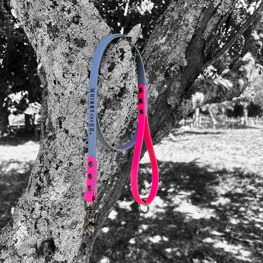 Biothane 1.2m Walking Leash - Grey & Passion Pink