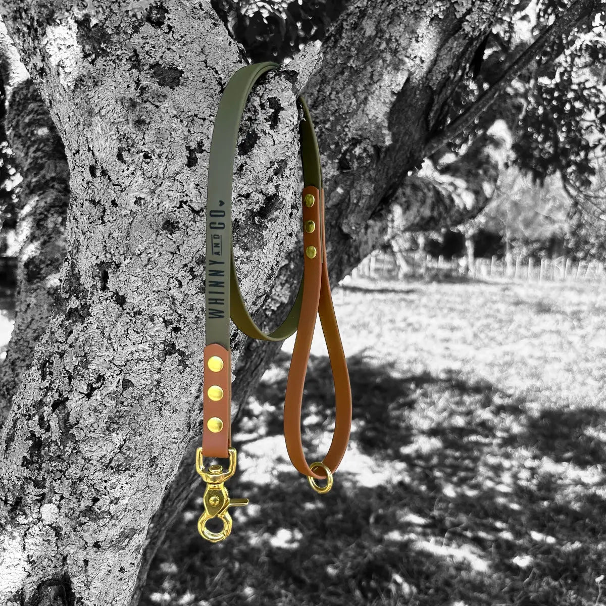 Biothane 1.2m Walking Leash - Olive & Light Brown Whinny and Co