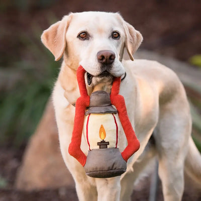 P.L.A.Y. Camp Corbin Collection - Pack Leader Lantern P.L.A.Y