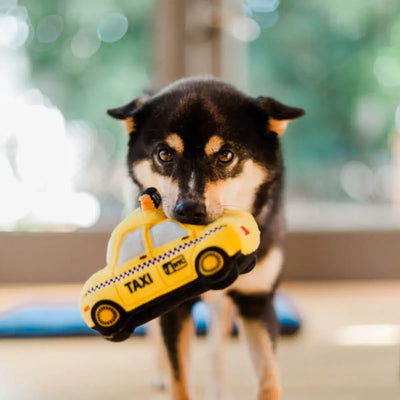 P.L.A.Y Canine Commute Collection - New Yap City Taxi P.L.A.Y