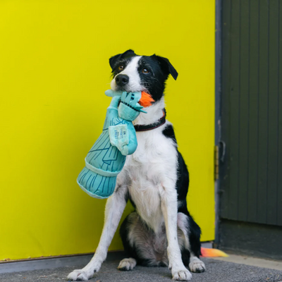 P.L.A.Y Totally Touristy - Lady Liberty