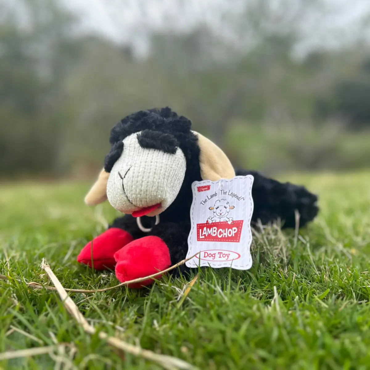 Lamb Chop Black Multipet