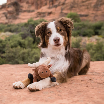 P.L.A.Y Africa Big Five - Buffalo