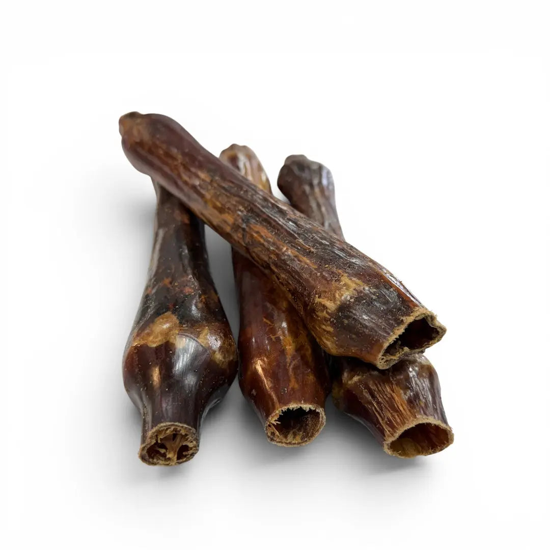 Busy Bone – Air-Dried NZ Venison Chew for Dogs