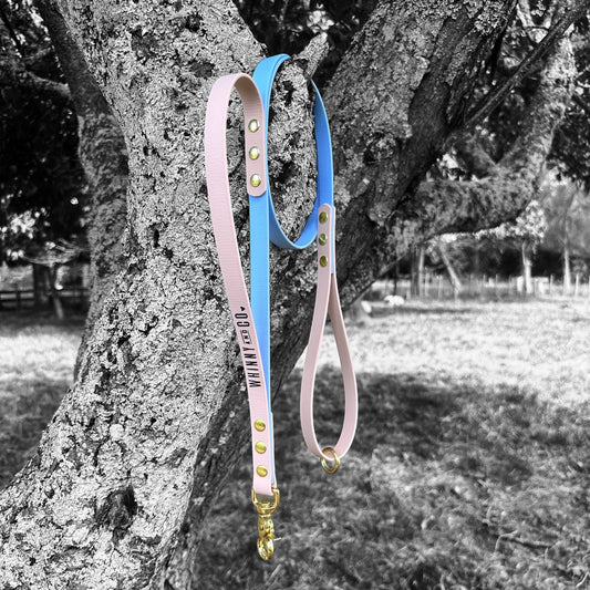 Biothane 1.2m Walking Leash with Built in Traffic handle- Polar Blue & Powder Tan