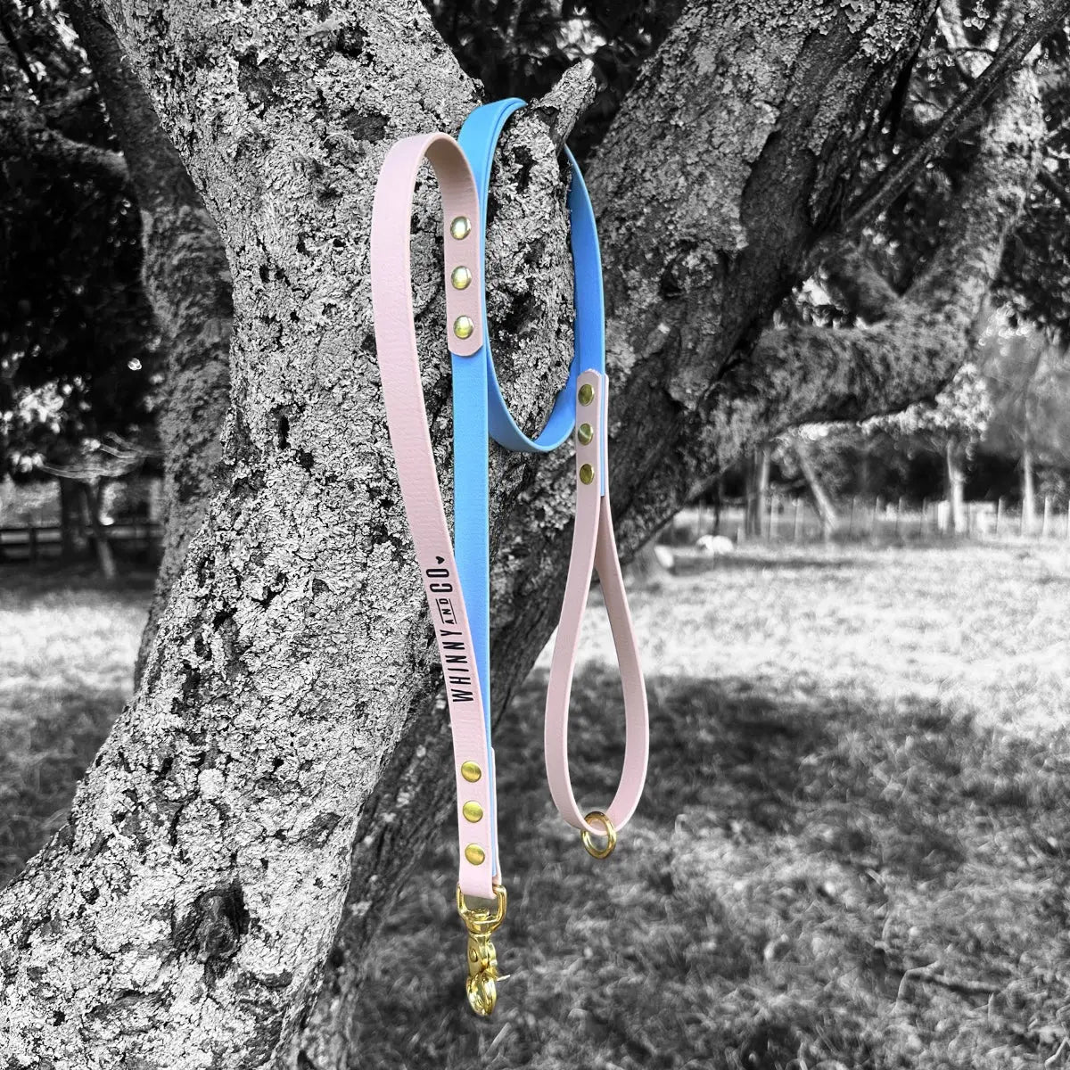 Biothane 1.2m Walking Leash with Built in Traffic handle- Polar Blue & Powder Tan Whinny and Co