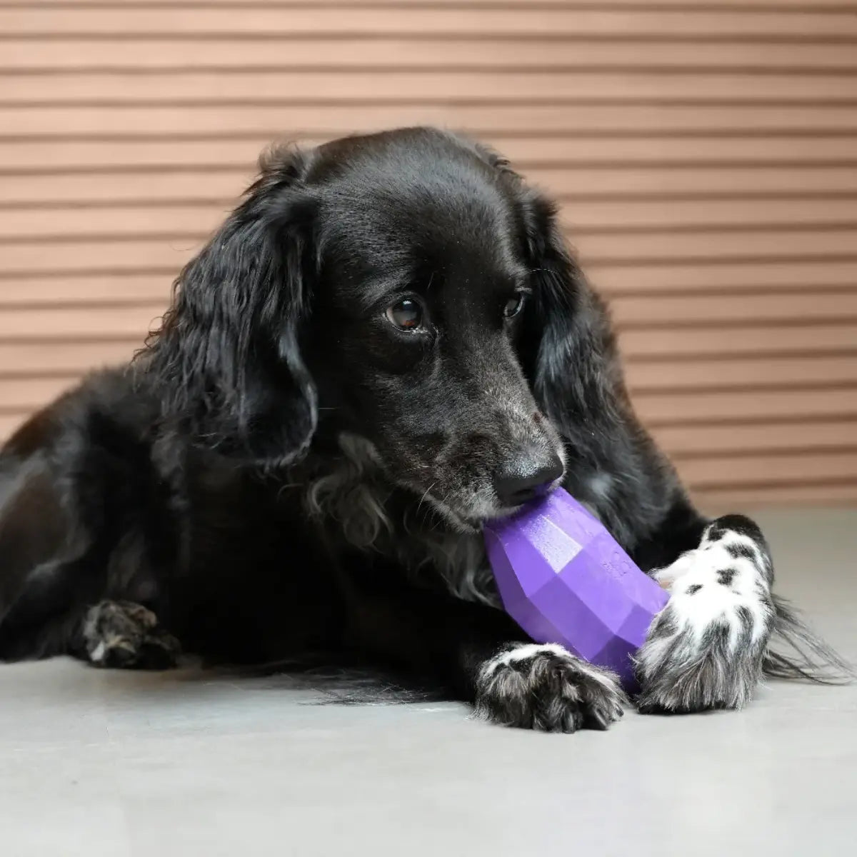 Zee.Dog Super Veggiez Toy – Eggplant — Treat-Dispensing Enrichment for Dogs Zee.Dog