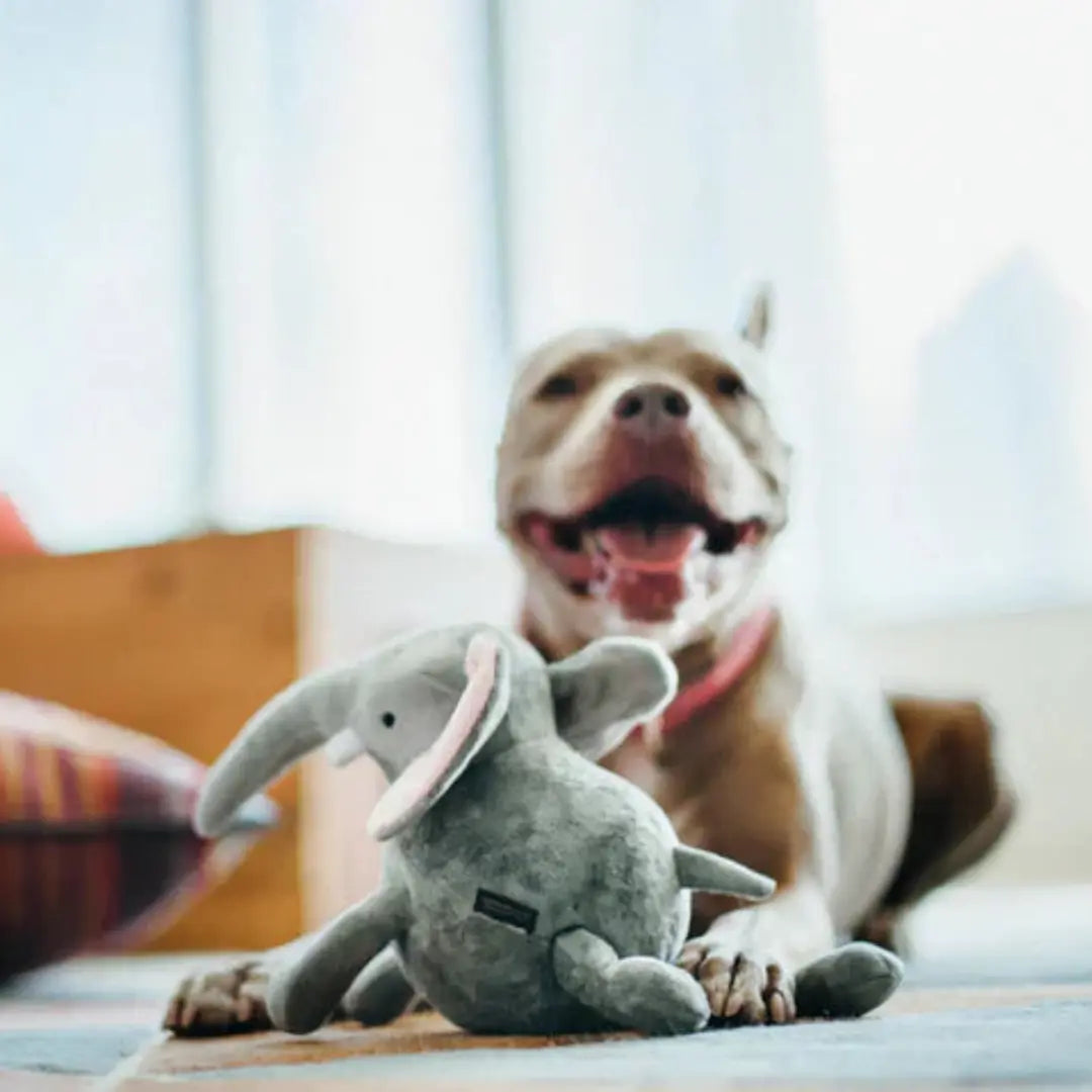 P.L.A.Y. Africa Big Five – Elephant Dog Toy P.L.A.Y