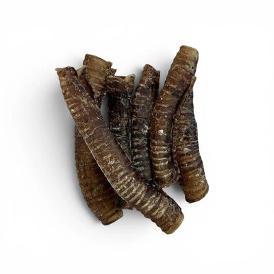 Bulk Venison Trachea 20pc — NZ Air-Dried Natural Dog Chews Whinny and Co