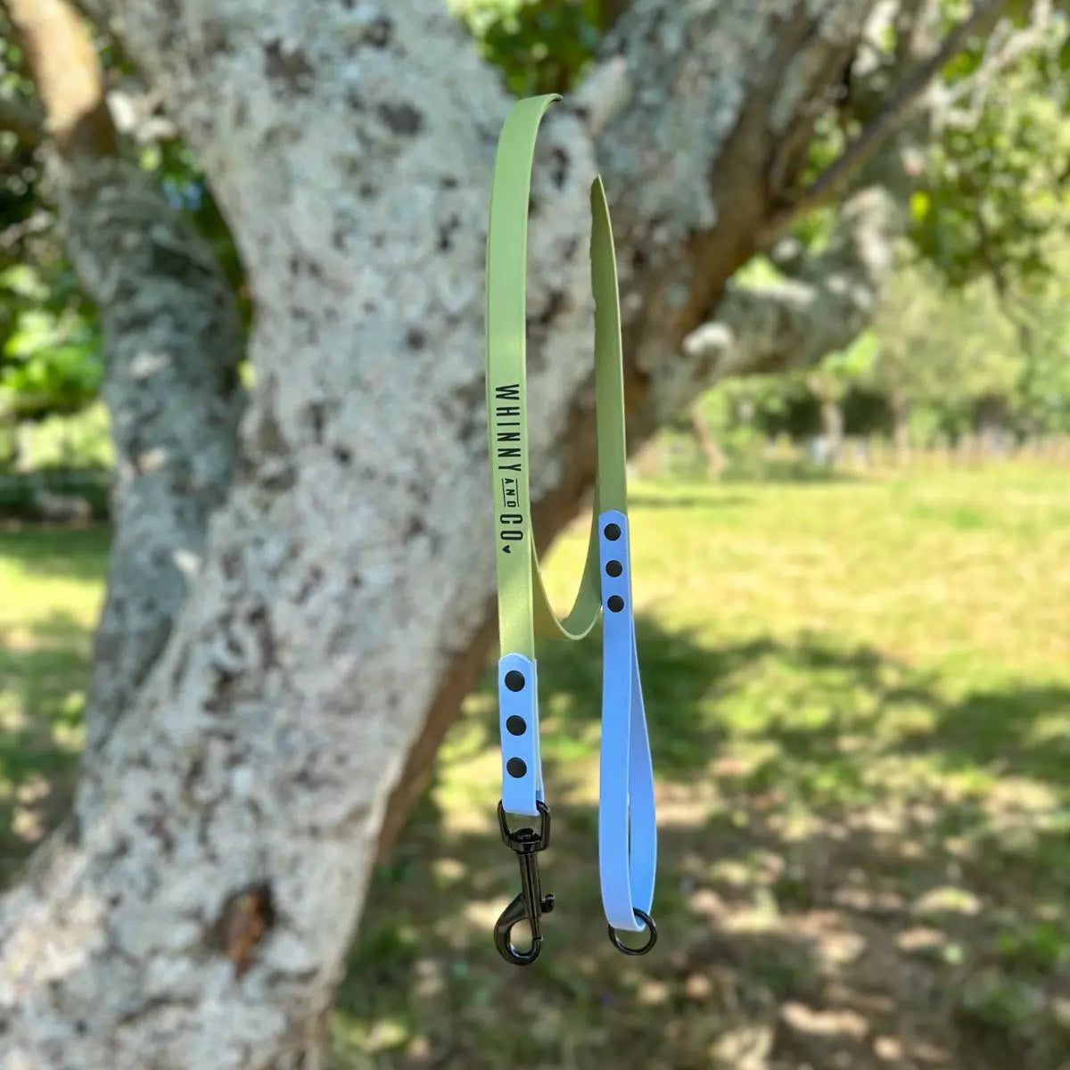Biothane 1.5m Walking Leash - Holy Guacamole & Polar Blue Whinny and Co