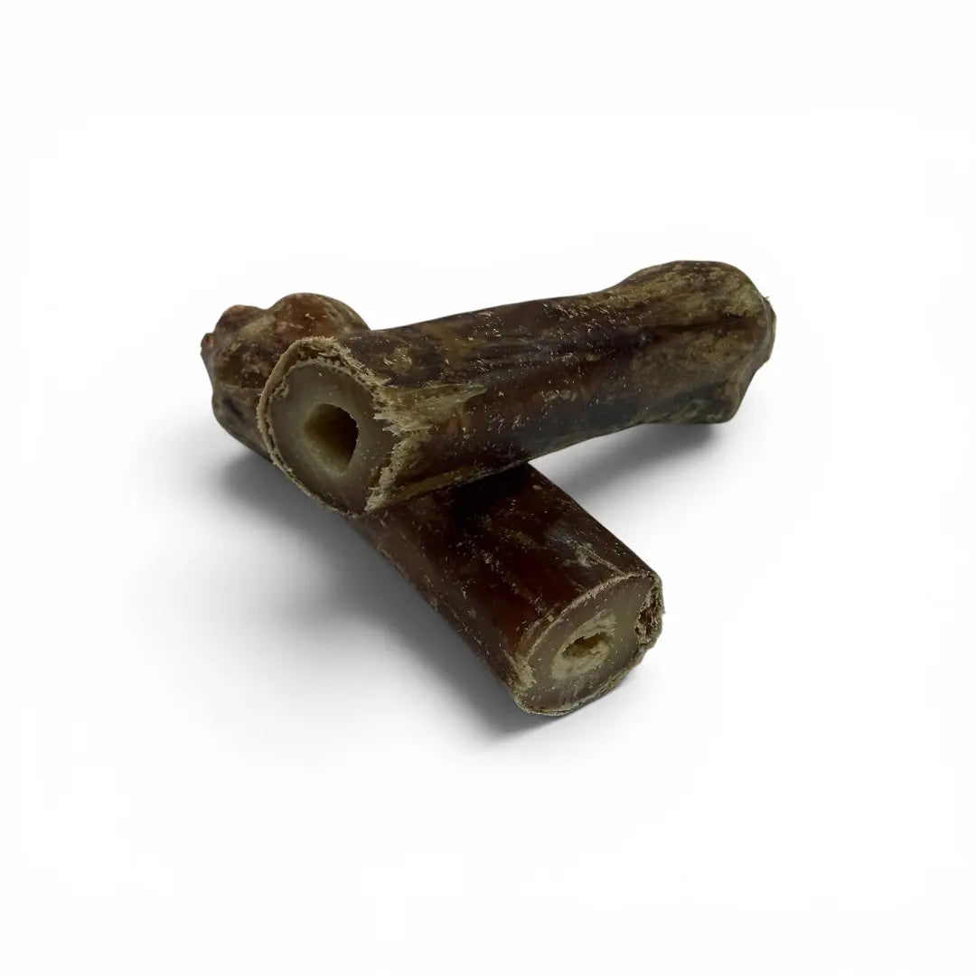 Busy Bone Half – Air-Dried NZ Venison Shank Chew for Dogs Whinny and Co
