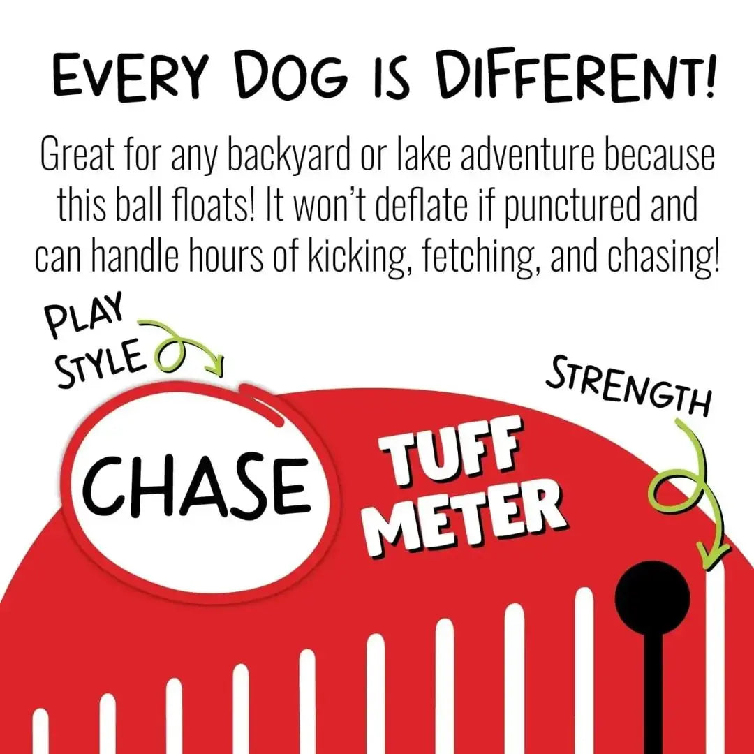 Jolly Pets Bounce-N-Play — Bounce & Splash Toy That Keeps Dogs Active Jolly Pets