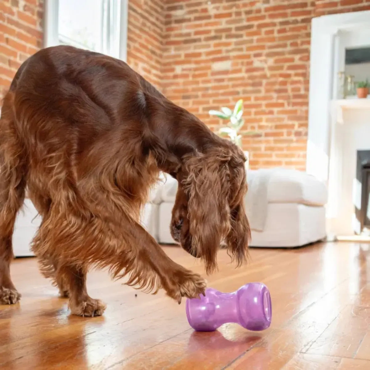 Outward Hound Double Snoop — Dual-Ended Interactive Treat Toy for Dogs Outward Hound