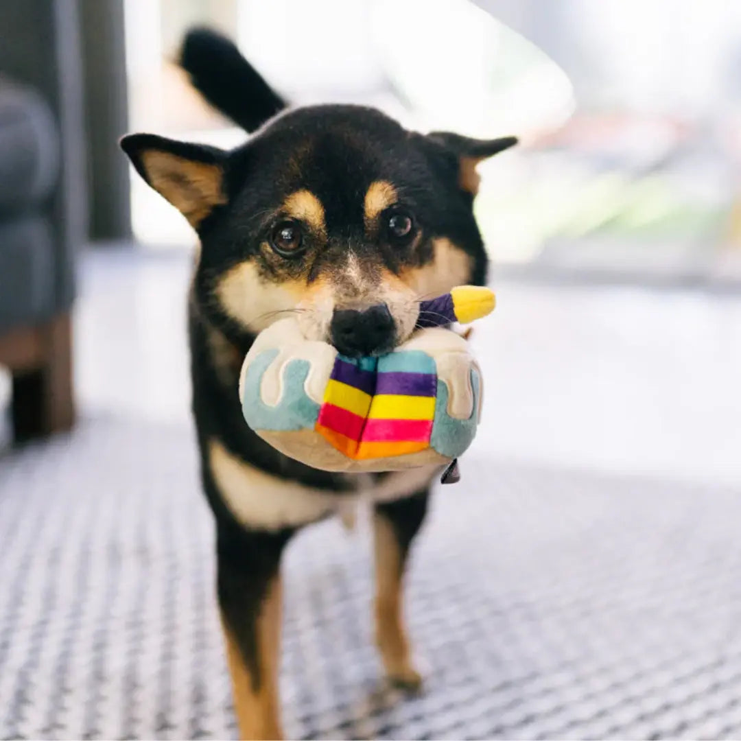P.L.A.Y. Party Time – Bone-Appetite Cake Dog Toy (Mini Size) P.L.A.Y