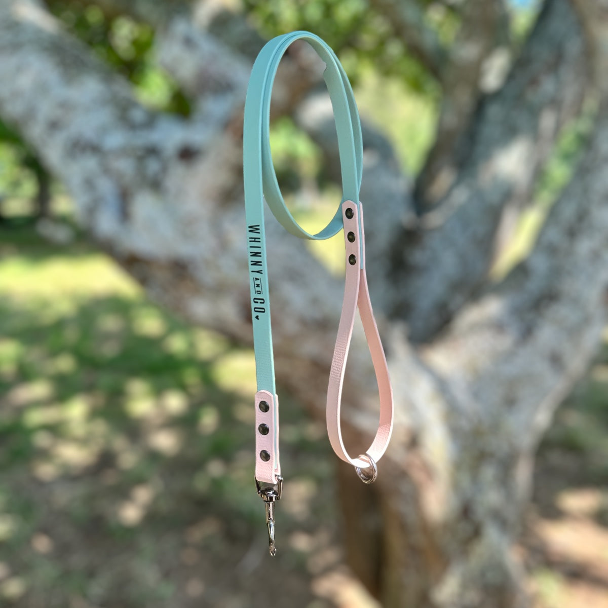 Biothane 1.2m Walking Leash - Sage & Powder