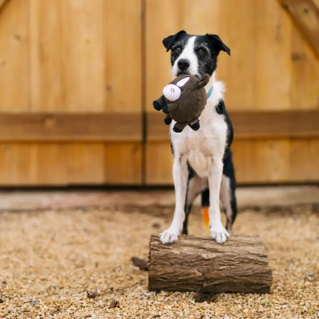 P.L.A.Y Barnyard Buddies - Harley the Horse P.L.A.Y