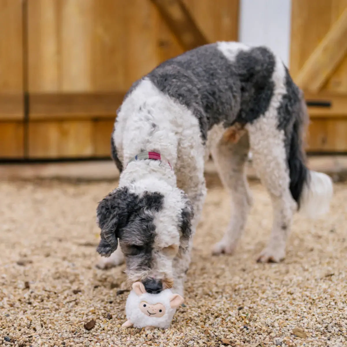 P.L.A.Y Barnyard Buddies - Sadie the Sheep P.L.A.Y