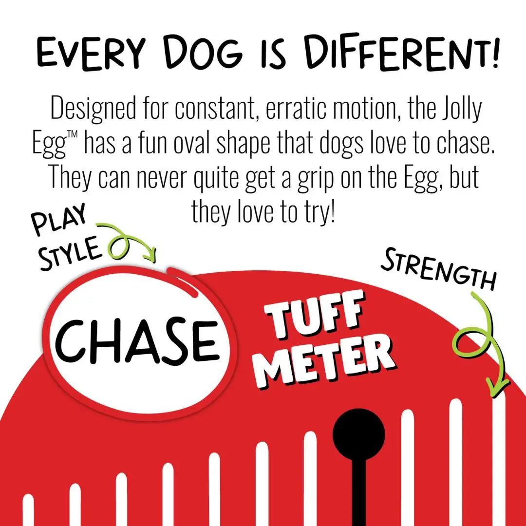 Jolly Pets Jolly Egg — Bounce, Float & Fetch Fun for Dogs Jolly Pets