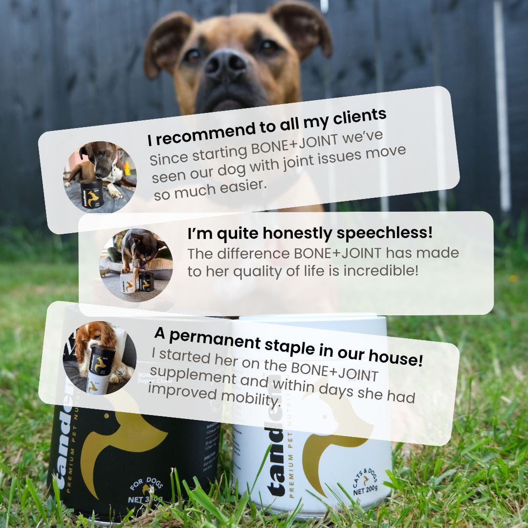 Tandem Bone + Joint Super Chews