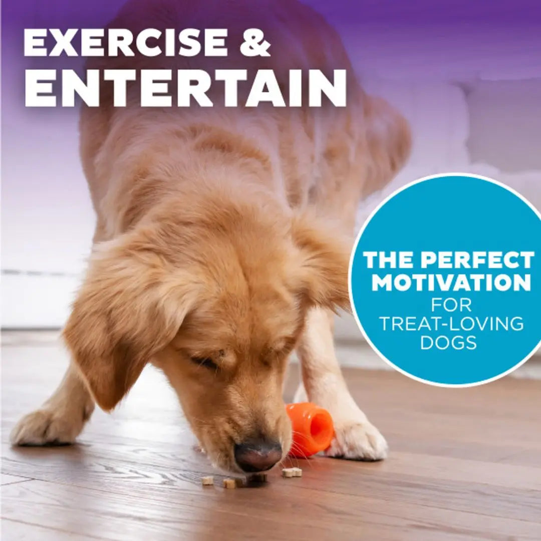 Outward Hound Carrot — Interactive Treat & Fetch Toy for Dogs Outward Hound