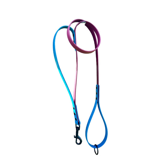 Biothane Two Tone Walking Leash with built in Traffic Handle 1.8m