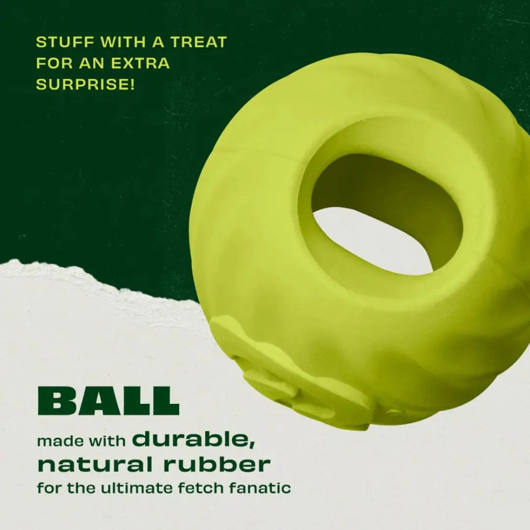 Benebone Bounce Ball – Natural Rubber Fetch Ball for Dogs Benebone