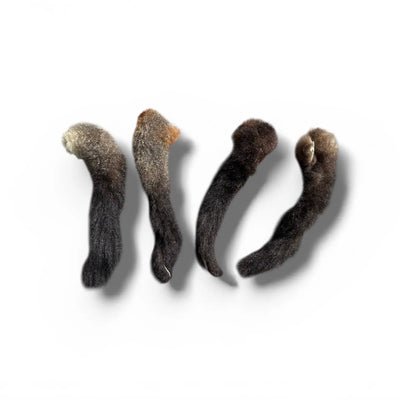 Dried Possum Tail Toy (Natural NZ Fur Toy) – Dogs & Cats Thorncombe Pet Supplies