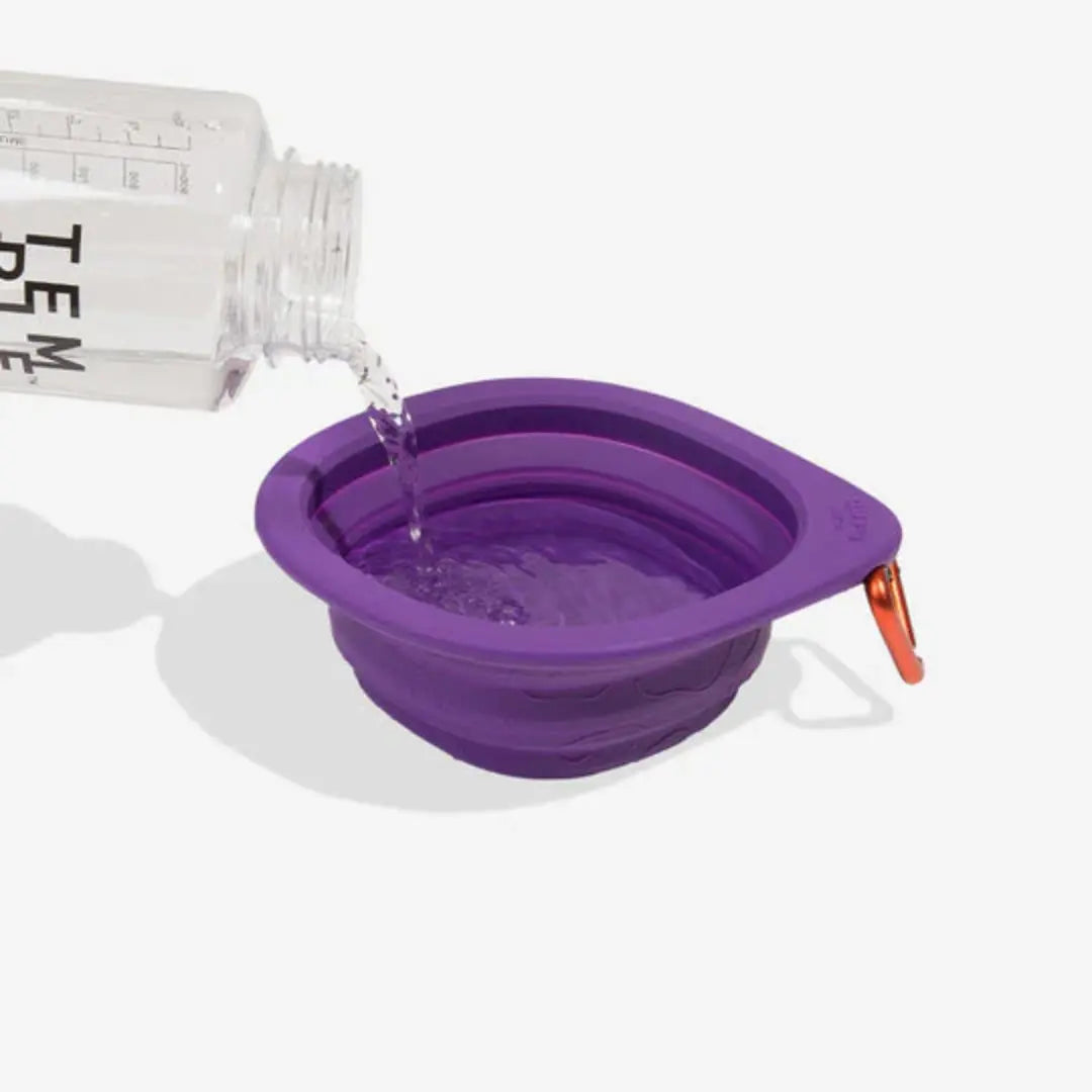 Zee.Dog GoBowl Travel Bowl - Peak Durabolz