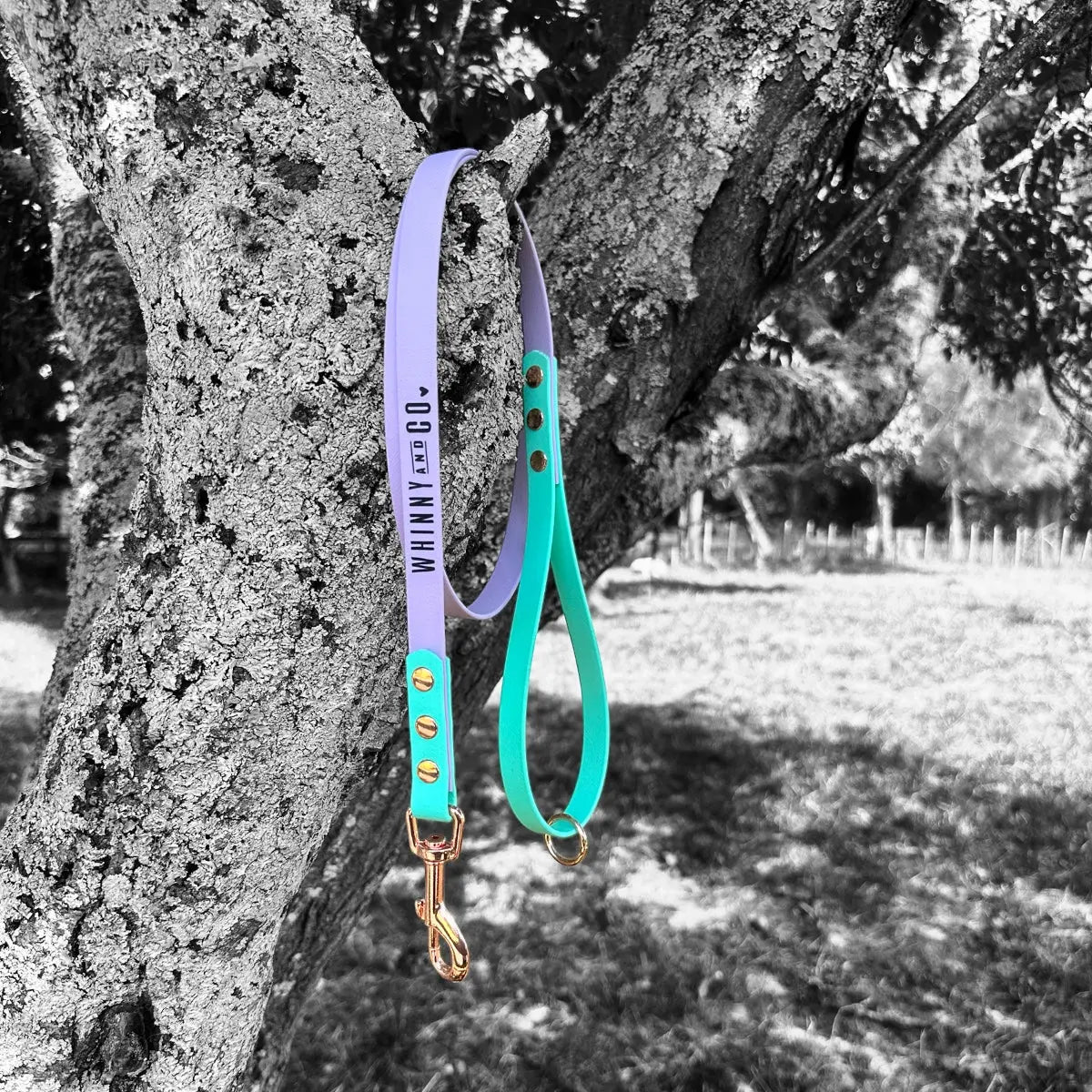 Biothane 1.2m Walking Leash - Pastel Purple & Caribbean Green Whinny and Co