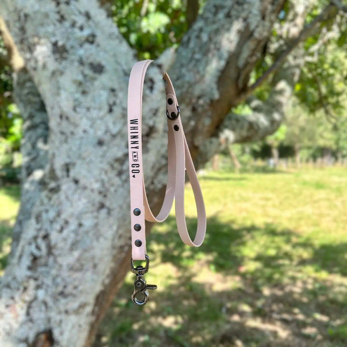 Biothane 1.2m Walking Leash - Powder Tan Whinny and Co
