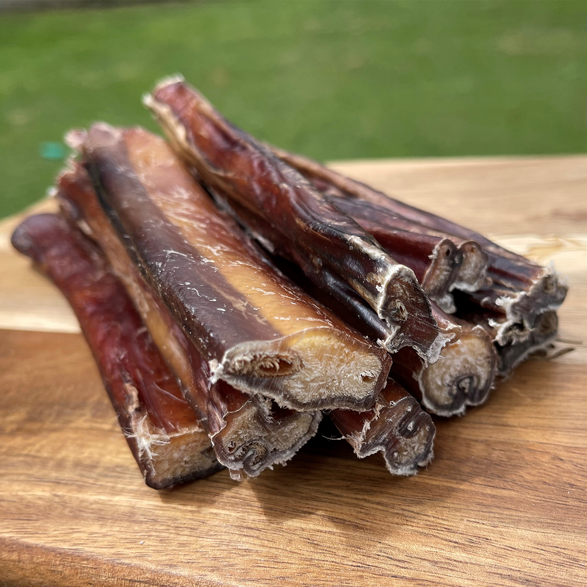 Bulk Bull Pizzle Sticks