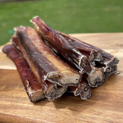 bulk bull pizzle sticks dog chews NZ
