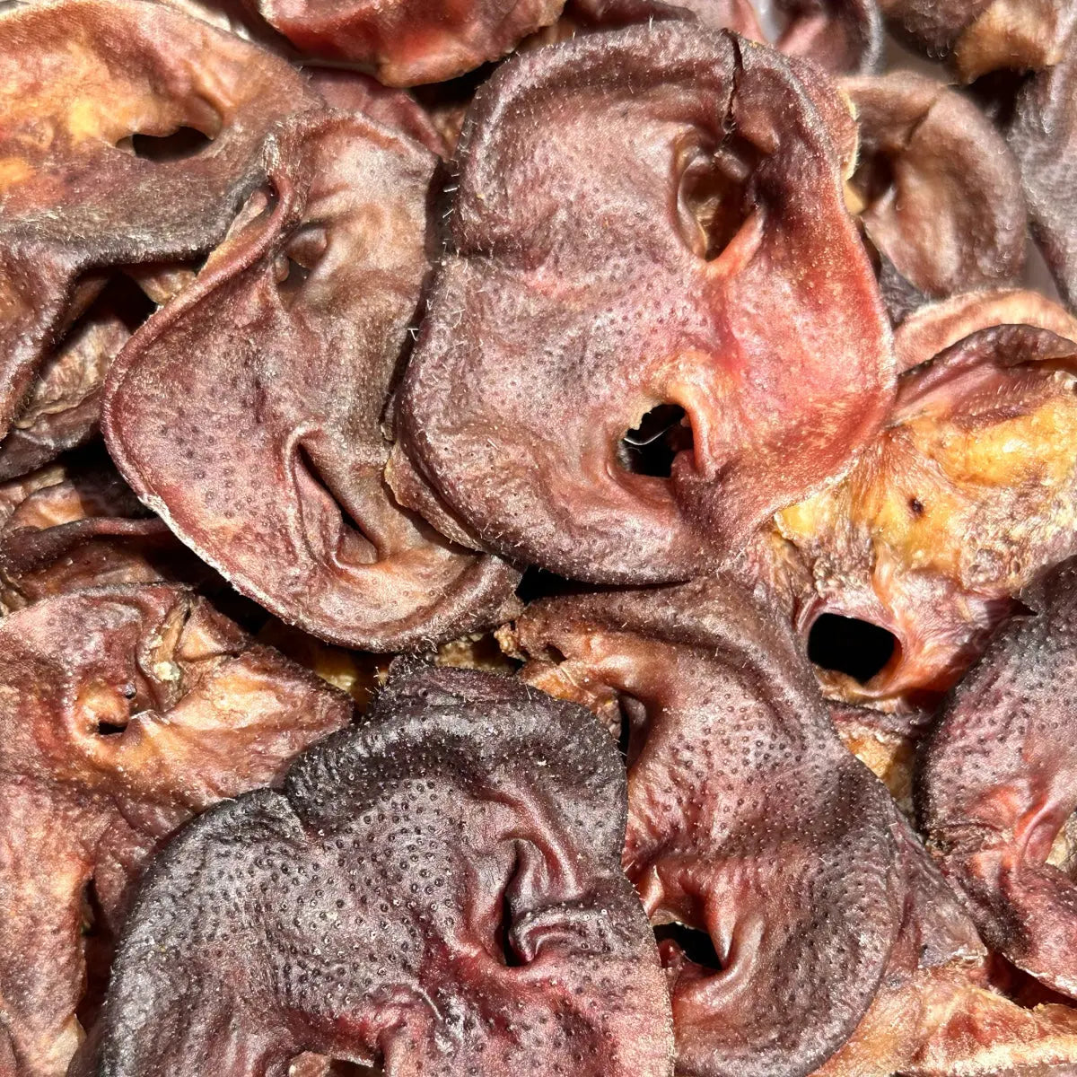 Dried NZ Pig Snouts — Natural, High-Protein Chew Treats for Dogs Whinny and Co
