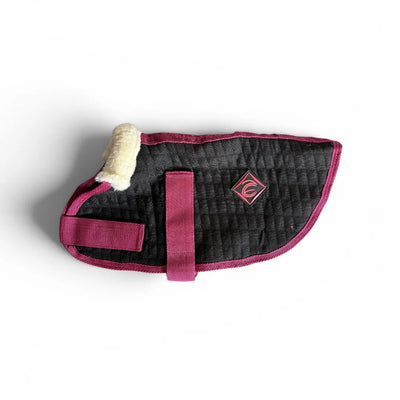 Black and pink dog drying coat