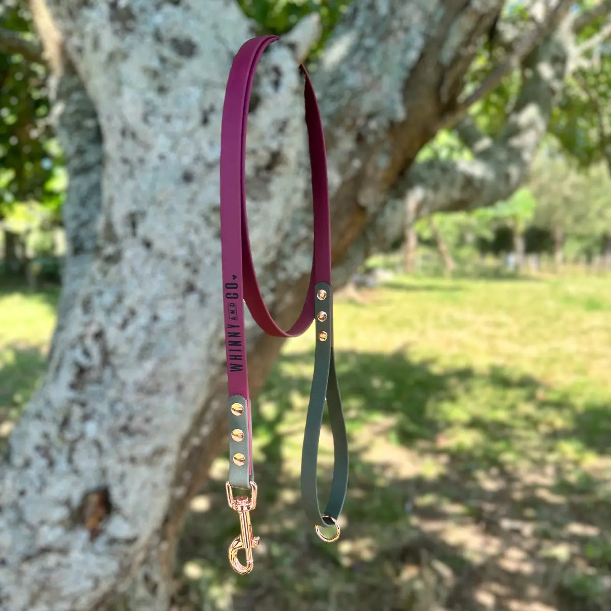 Biothane 1.5m Walking Leash - Wine & Hunter Green Whinny and Co