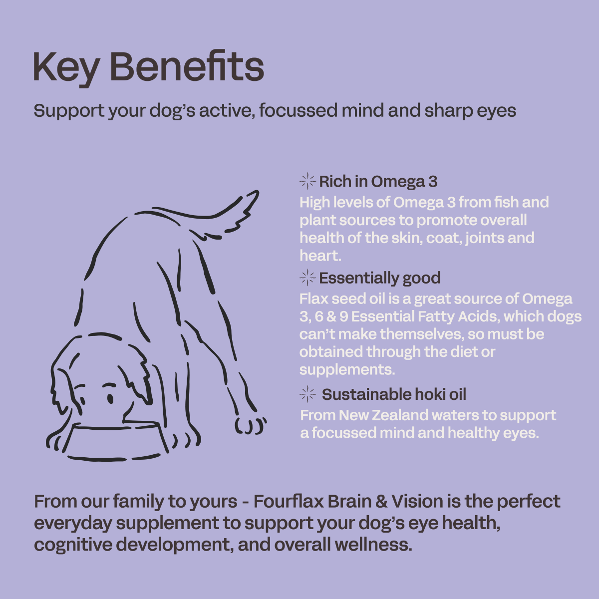 FourFlax Canine Brain & Vision