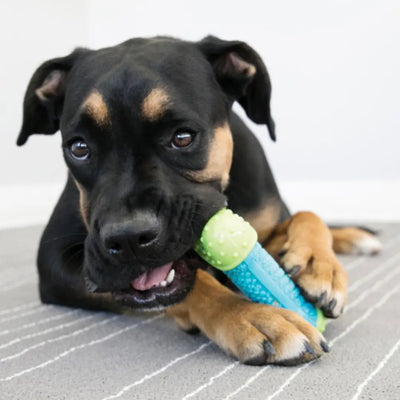 KONG Goodie CoreStrength Bone – Durable Chew & Play Toy for Medium/Large Dogs Kong