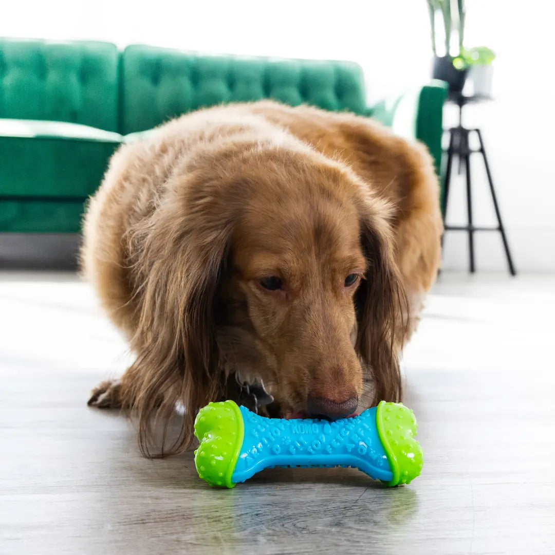 KONG Goodie CoreStrength Bone – Durable Chew & Play Toy for Medium/Large Dogs Kong