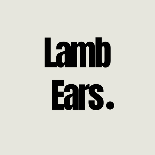 Bulk Lamb Ears 1kg