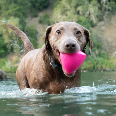 RuffDawg Dawg-X — Ultra-Durable Retrieving Toy for Chew, Fetch & Water Play RuffDawg