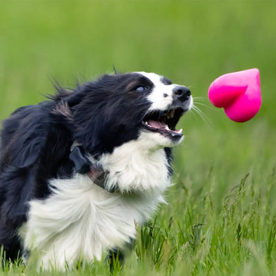 RuffDawg Dawg-Hart — Ultra-Durable Rubber Toy for Chew, Fetch & Water Play RuffDawg