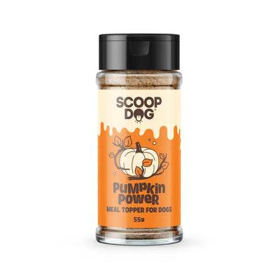 Scoop Dog Pumpkin Power Scoop Dog