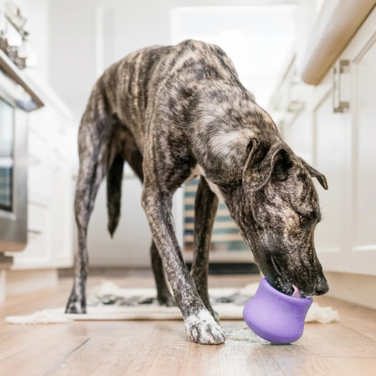 West Paw Toppl Lavender – Puzzle Treat Toy for Dogs West Paw
