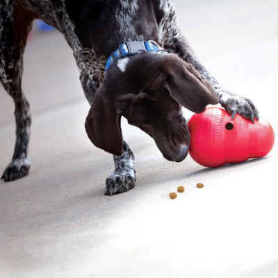 KONG Wobbler Interactive Treat Dispensing Dog Toy Kong