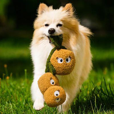 Kiwi The Tug Plush Dog Toy